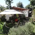 Hostal Vida 2000